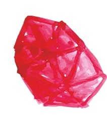shap-11